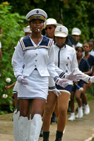 Fancy Steppers. Isla de Basimiento, Panama